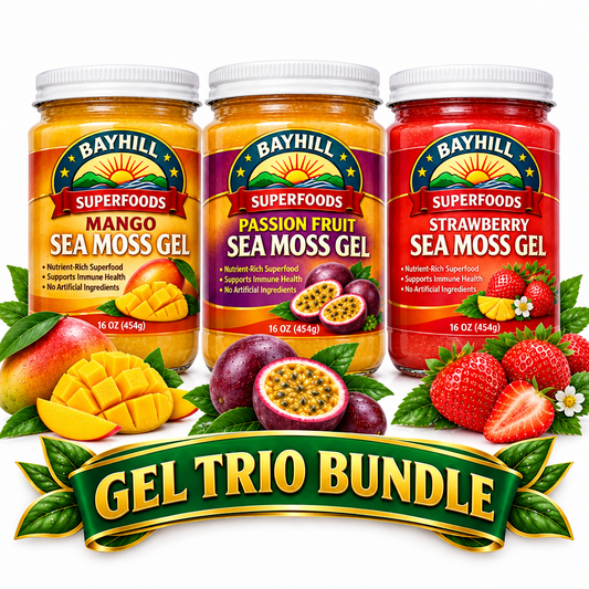 BAYHILL SUPERFOODS Sea Moss Gel Trio Bundle - Mango, Passion Fruit & Strawberry 16 oz white-lid jars